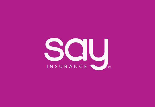 Robust Analytics and Insights for a Groundbreaking Insurance Company