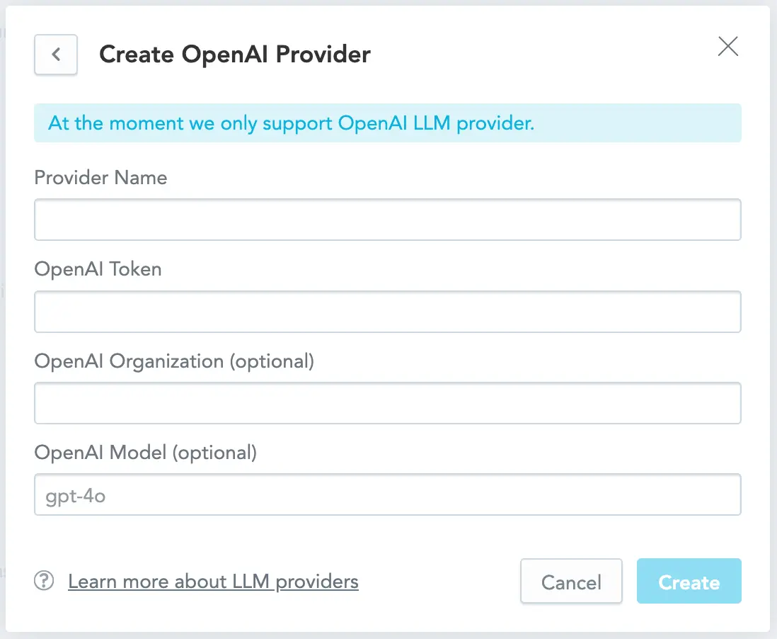 Create the LLM Provider
