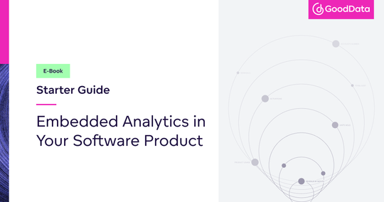 Embedded analytics in your software product