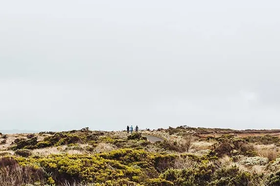 A Guide to the Cloud, Multi-Tenancy, and The One Codebase to Rule Them All