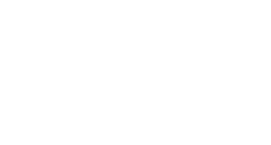 W3C WCAG 2.1