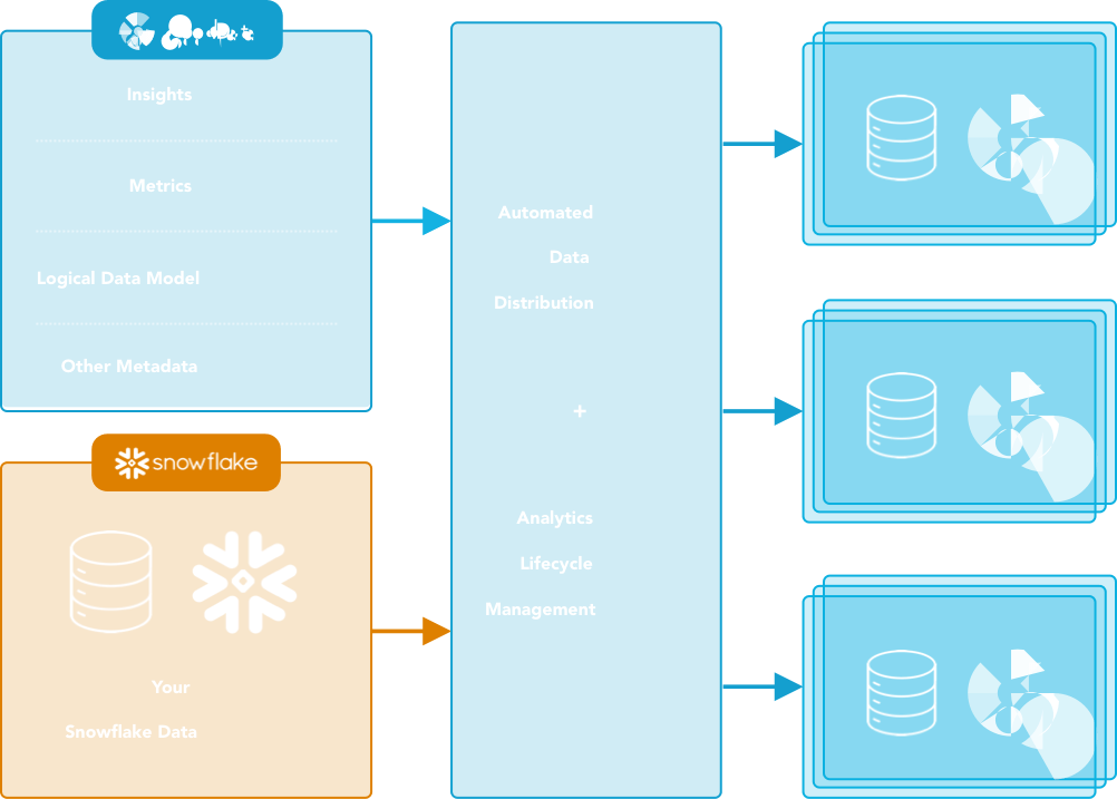 Analytics for every customer, partner, team scheme