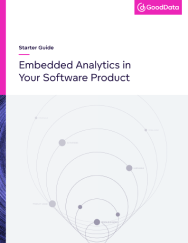 embedded-analytics-in-software-product