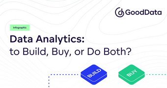 Data Analytics: Buy, Build, or Do Both?