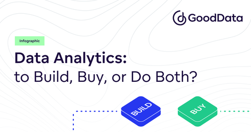 Data Analytics: Buy, Build, or Do Both?