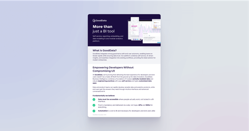 GoodData: More than just a BI tool