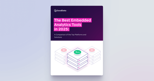 The Best Embedded Analytics Tools in 2025: A Comparison of the Top Platforms and Solutions