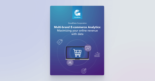 Multi-brand E-commerce Analytics: Maximizing your online revenue with data 
