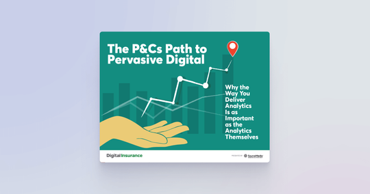 The P&Cs Path to Pervasive Digital eBook