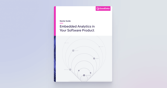 Cover image for Starter Guide: Embedded Analytics in Your Software Product