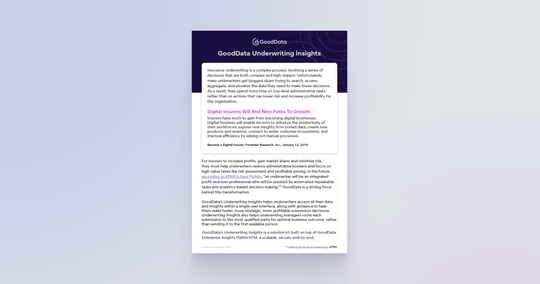 Cover image for GoodData Underwriting Insights Solution Brief