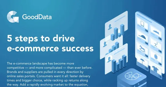 Cover image for 5 Steps for E-Commerce Analytics Success