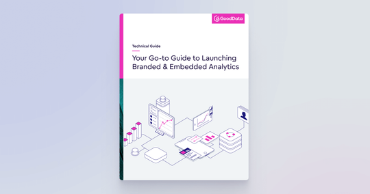Tech Guide: Your Go-to Guide to Launching Branded & Embedded Analytics