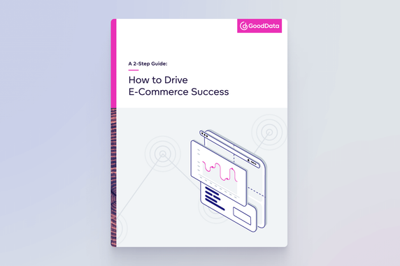 2-STEP GUIDE: How to drive e-commerce success with data analytics