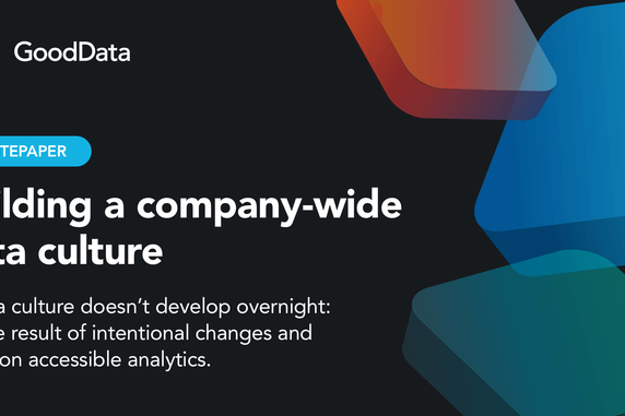 Cover image for How to Build a Successful Data Culture