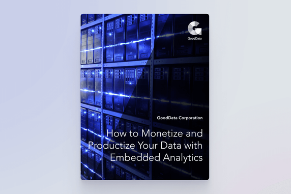 How to monetize data with analytics
