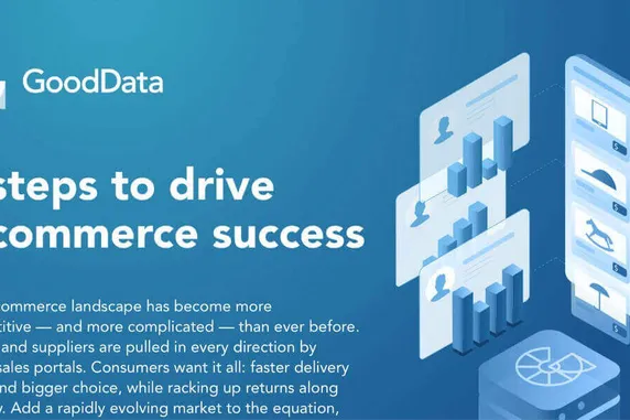 Cover image for 5 Steps for E-Commerce Analytics Success