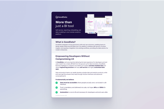Cover image for GoodData: More than just a BI tool