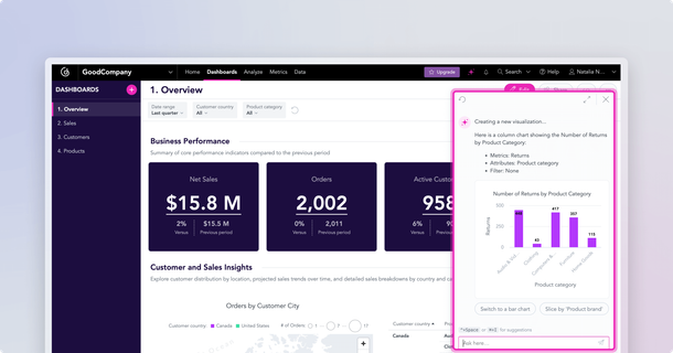 AI Assistant: Your Built-In Data Analyst