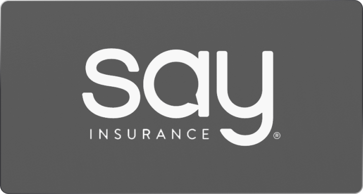 Robust Analytics and Insights for a Groundbreaking Insurance Company