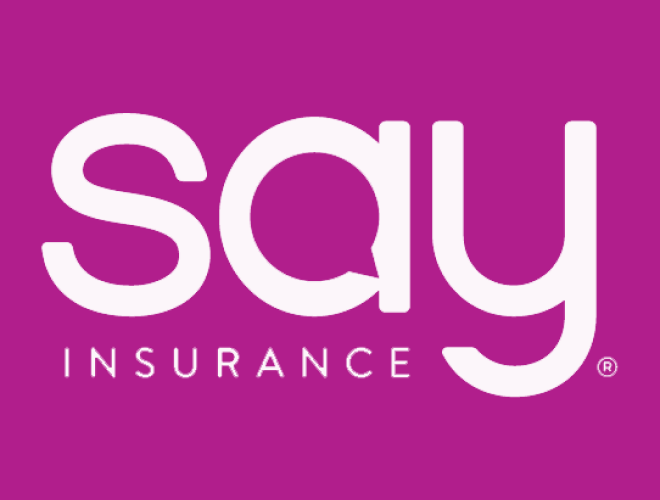 Robust Analytics and Insights for a Groundbreaking Insurance Company