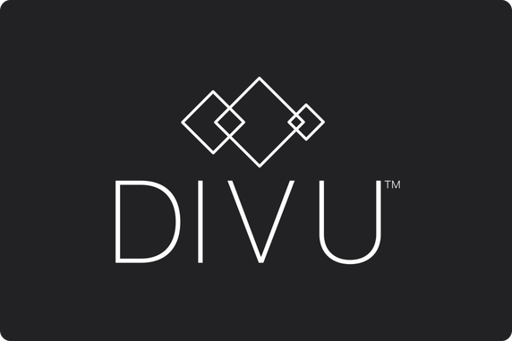 DIVU GmbH
